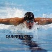 Quentin Merle